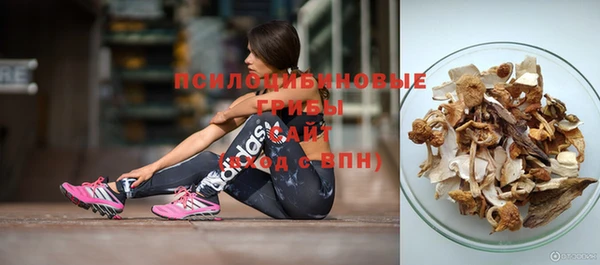 не бодяженный Гусиноозёрск