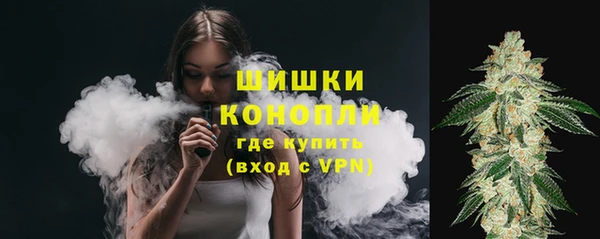 стаф Гусев