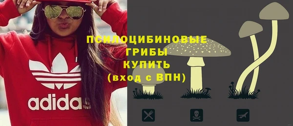 прущая мука Гусь-Хрустальный