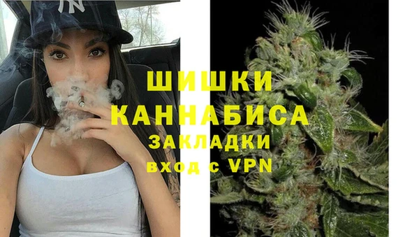 стаф Гусев