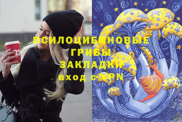не бодяженный Гусиноозёрск
