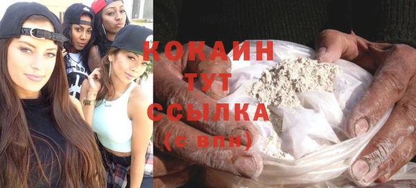 хмурый Дмитриев