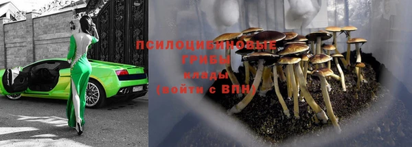 не бодяженный Гусиноозёрск