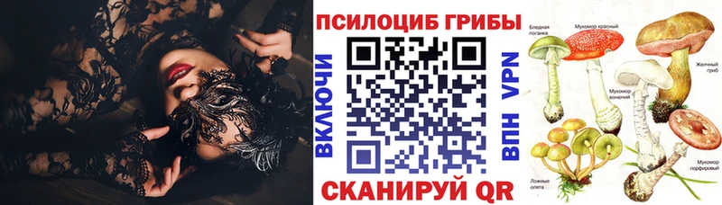 купить  сайты  Салават  Галлюциногенные грибы Psilocybe 